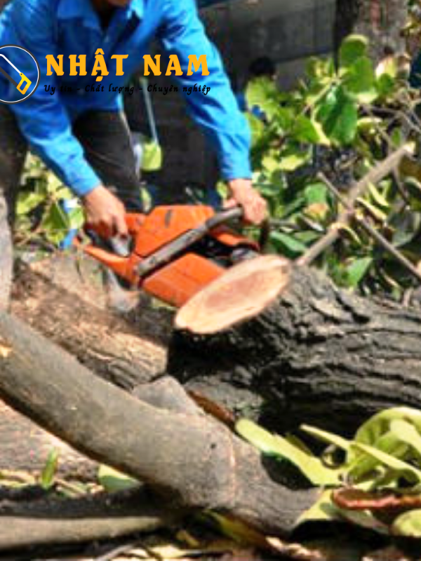Dịch vụ chặt cây - cưa cây Quận 9 - Liên hệ 0904 169 136